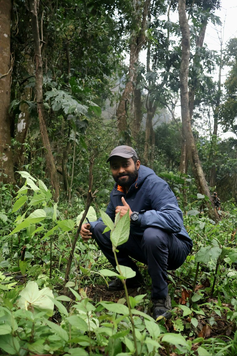 Kamlang Tiger Reserve tweet media