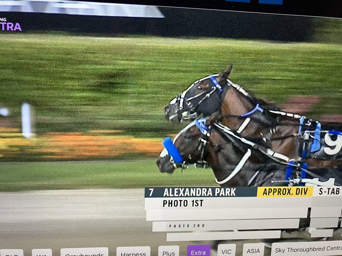 Don't Stop Dreamin congratulations to Cullen Racing. Craig Ferguson what a night. The king again one two Bettors Delight <a href="/WoodlandsStudNZ/">Woodlands Stud NZ</a>  <a href="/MarkHug66086783/">Mark Hughes</a>