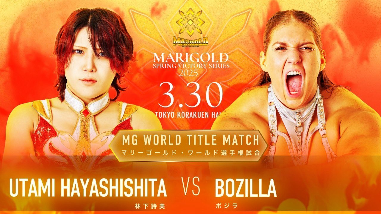林下詩美 コンプ マリーゴールド 直筆サイン入りカード トレカ MARIGOLD 女子プロレス マリーゴールド 直筆サイン入り 林下詩美 写真集