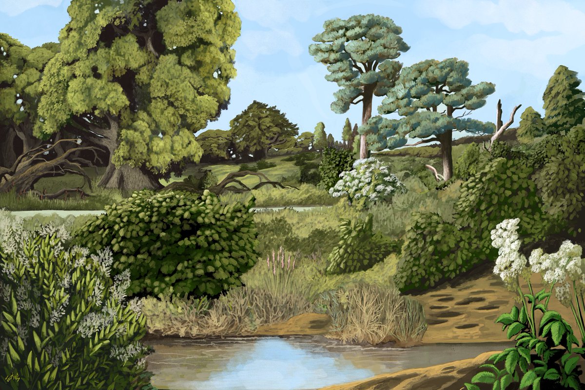 🌳🌲🌱🌿🍃💚🐎🫎🌼🦬🐘
#InternationalDayofForests Here's how a natural #woodland in Europe looks. The science behind: sciencedirect.com/science/articl…
🌳🌲🌱🌿🍃💚🐎🫎🌼🦬🐘
#InternationalForestDay #ForestDay #skovensdag #skov #wald