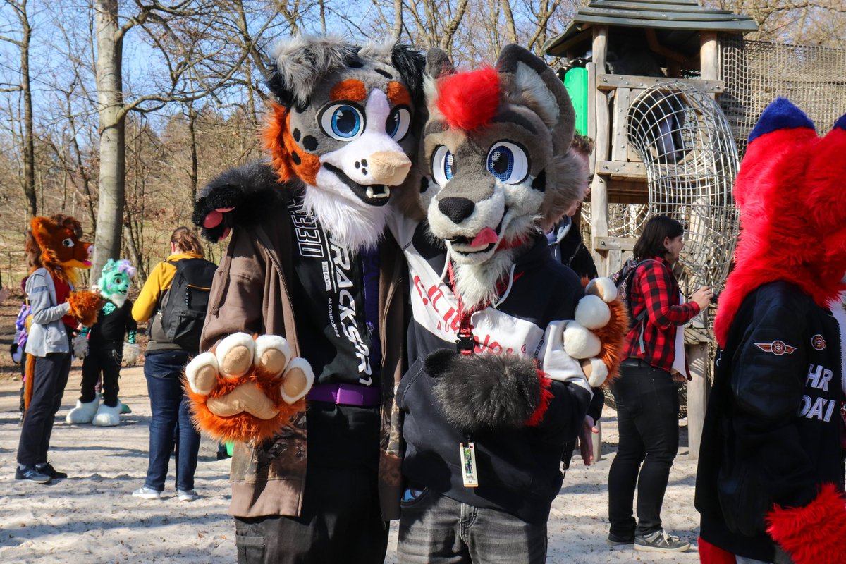 He is soo cute, right? :3

🐶 <a href="/kubas445/">Kubas445</a>
📸 <a href="/lukybollard/">Luky Bollard</a> 

#fursuitfriday #furry #fursuiter #furryfandom #fursuit