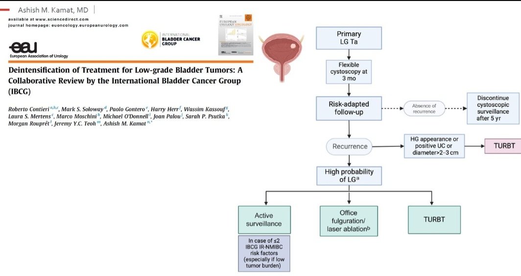 Roberto Contieri (@robertocontieri) on Twitter photo Great start to #EAU25 with an important session on treatment deintensification in LG #bladdercancer. Fantastic to see <a href="/UroDocAsh/">Ashish M. Kamat, MD, MBBS</a> present the IBCG recommendations — a major step forward for personalized care Great start to #EAU25 with an important session on treatment deintensification in LG #bladdercancer. Fantastic to see <a href="/UroDocAsh/">Ashish M. Kamat, MD, MBBS</a> present the IBCG recommendations — a major step forward for personalized care