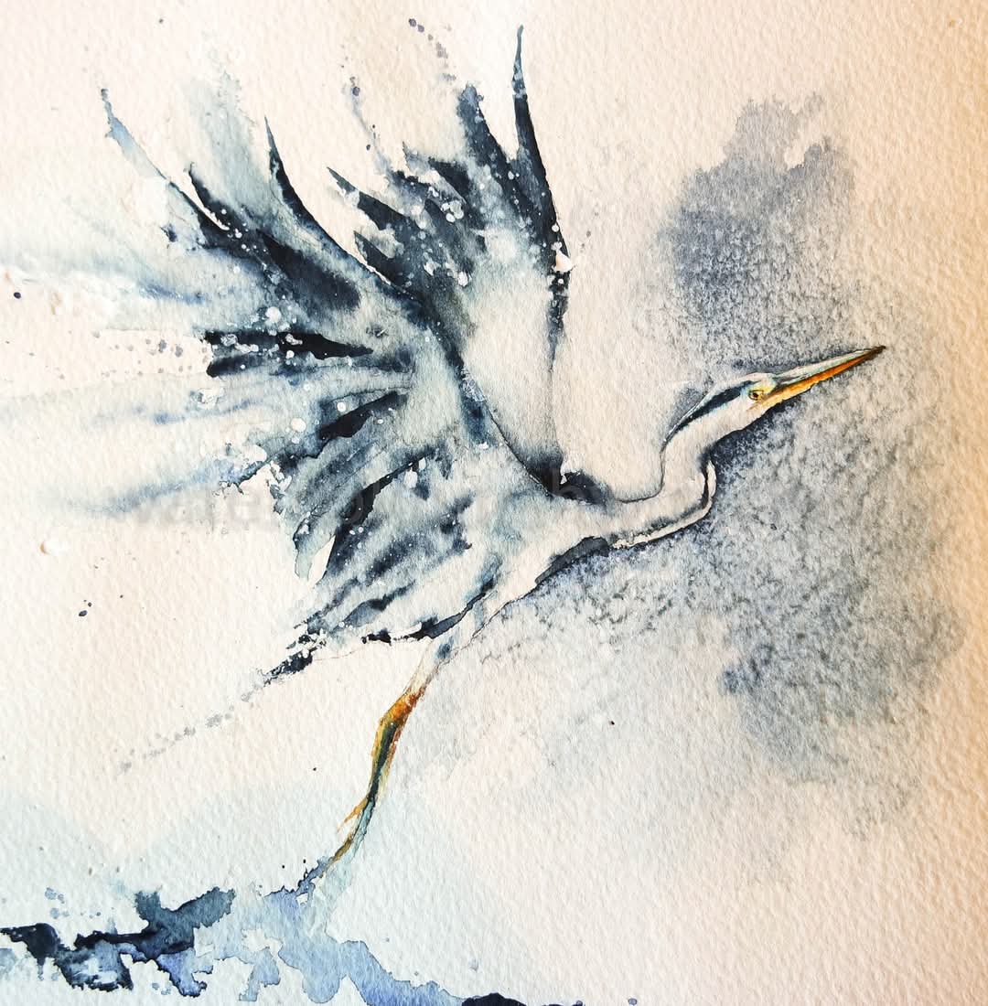 Yesterday we walked to Flatford Mill, through very pretty Suffolk countryside, we saw herons and egrets and heard woodpeckers and tried to spot kingfishers.....

Happy Friday x

#birds #watercolour #heron #wings #flight #movement #wildlife #art #Suffolk #rspb  #watercolor #paint