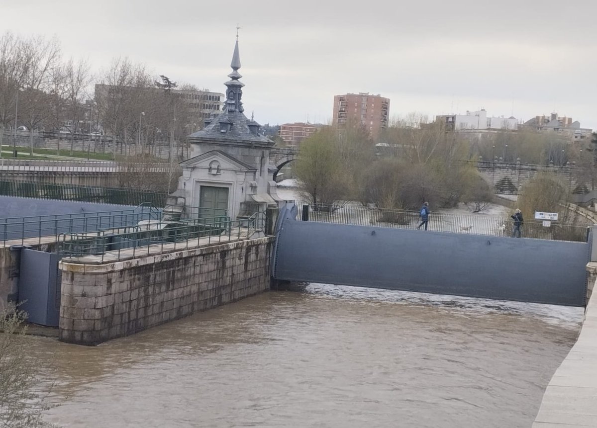 Santi_MBarajas's tweet photo. La renaturalización del Manzanares está reduciendo la peligrosidad de la avenida del río, pues el bosque de ribera está modulando la velocidad del agua. Los puntos de riesgo están siendo las compuertas de las presas, al reducir la sección del cauce, y que deberían eliminarse. https://t.co/VcfDrC32vm