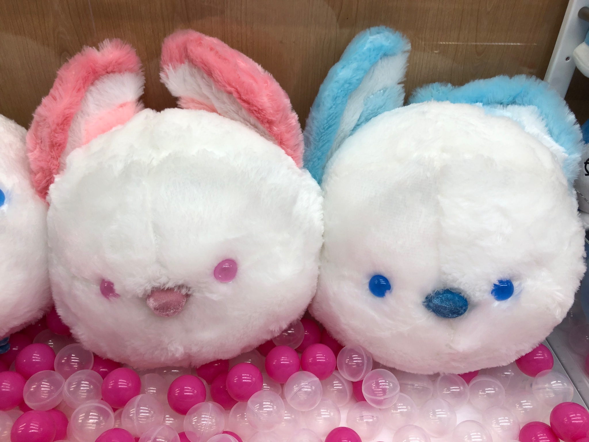 ぬいぐるみ user_5816f61e 1_000000159411.jpg