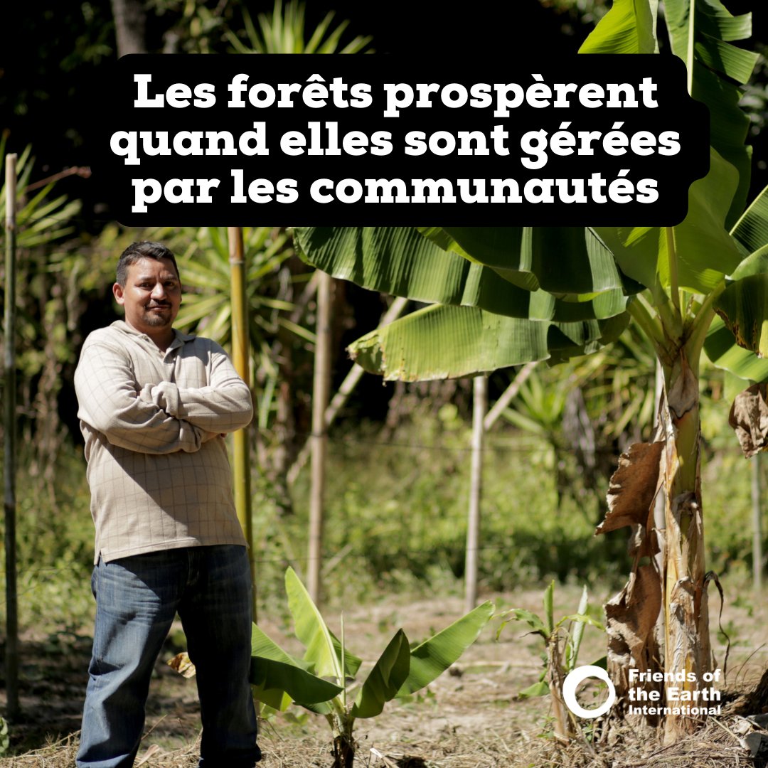 Les Amis de la Terre International tweet media