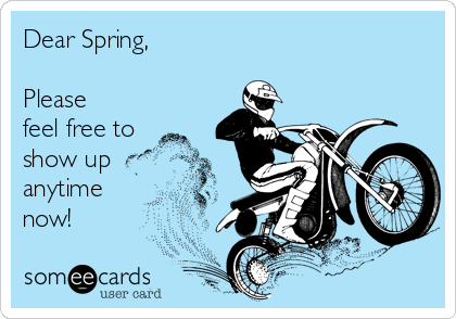 Good Morning Biker Friends! 🐦🇨🇦 Well just when I thought that the snow was melting (not that it was totally gone yet), had another blast of winter yesterday 🙄😬