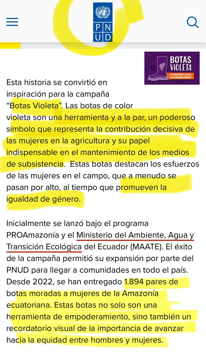 Pablo Cambronero 🇪🇦 tweet media