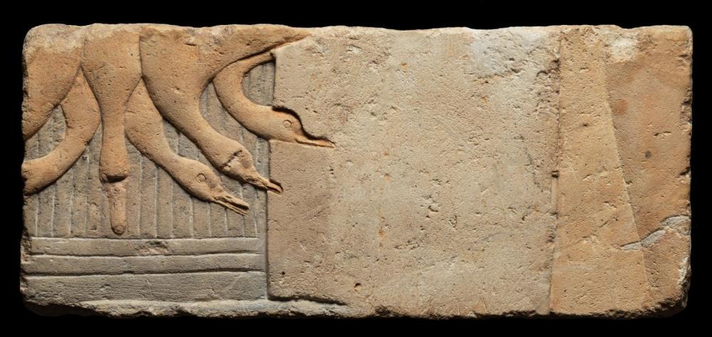 🏺 Talatat (relieve en piedra caliza) egipcio (Dinastía XVIII, reinado de Akhenatón; 1353-1336 a. C.).

🔎 Muestra una tienda de Amarna, con patos colgados por sus colas desde la parte superior de una columna.

ℹ️ Museo de Bellas Artes de Boston.