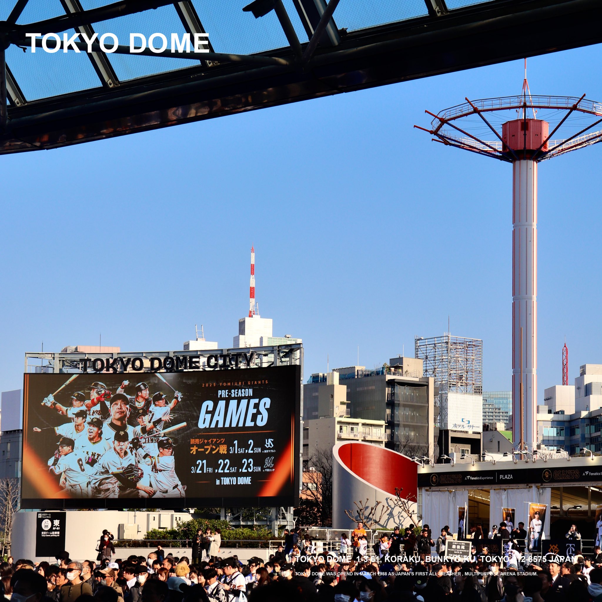東京ドーム シーズン シート一覧 | ジャイアンツシーズンシート2025