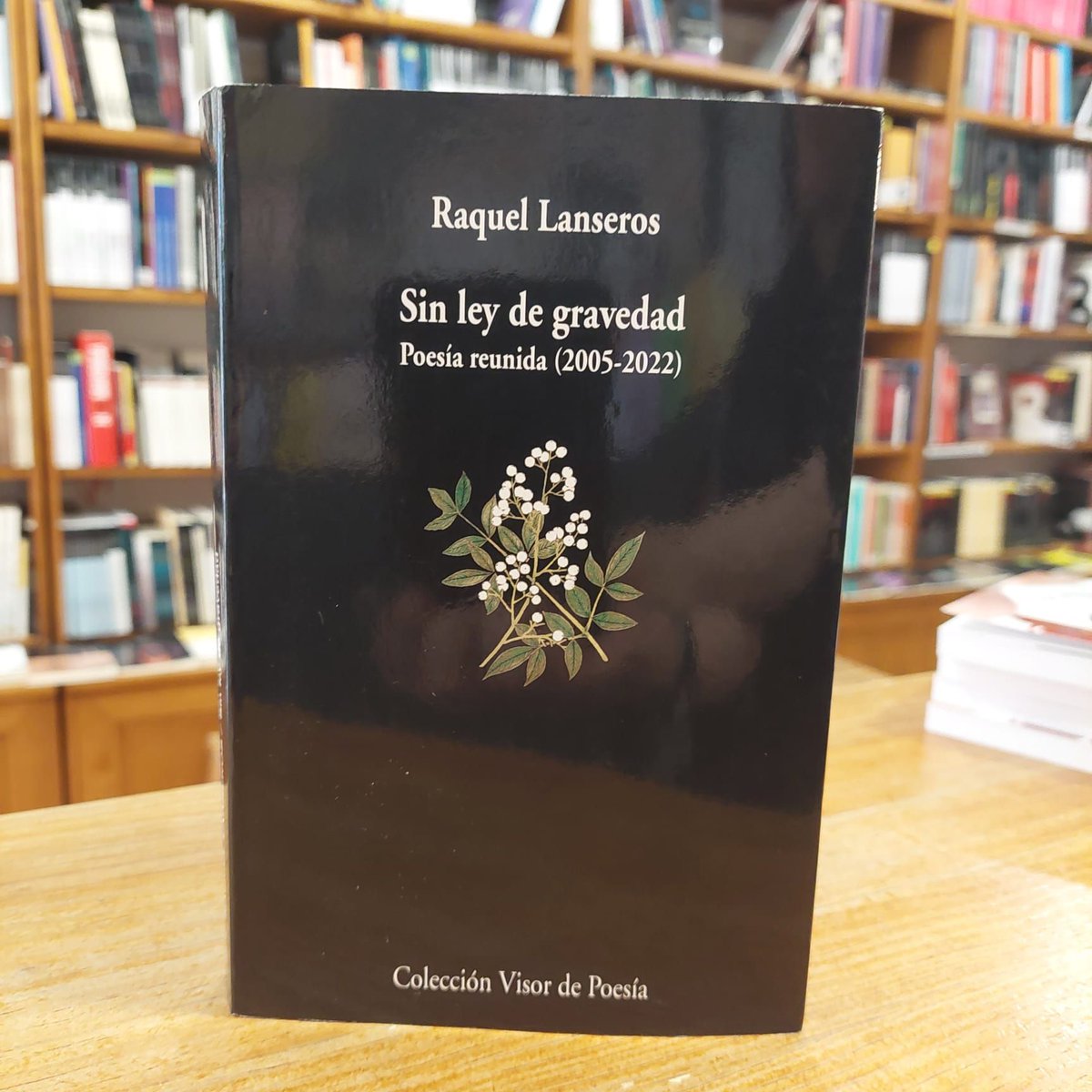 #RaquelLanseros
#SinLeyDeGravedad
#VisorPoesía
#LibreríaYorick
#NiUnDíaSinPoesía
#21MarzoDíaDeLaPoesía