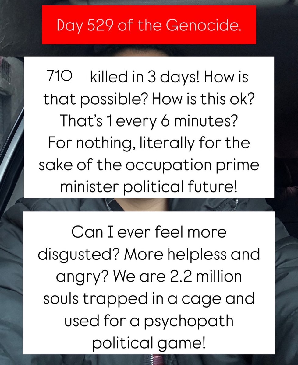 Wizard Bisan tweet media