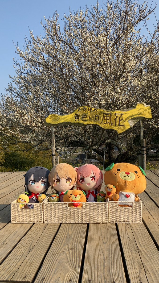 Shiokaze_ehime's tweet photo. 犬寄峠の黄色い丘と赤カル姉さん達
愛媛県伊予市

気温16度のぽかぽか陽気で、
ほぼ満開に咲いていました

#みくちゃ
#CULART https://t.co/764lrmCDhx