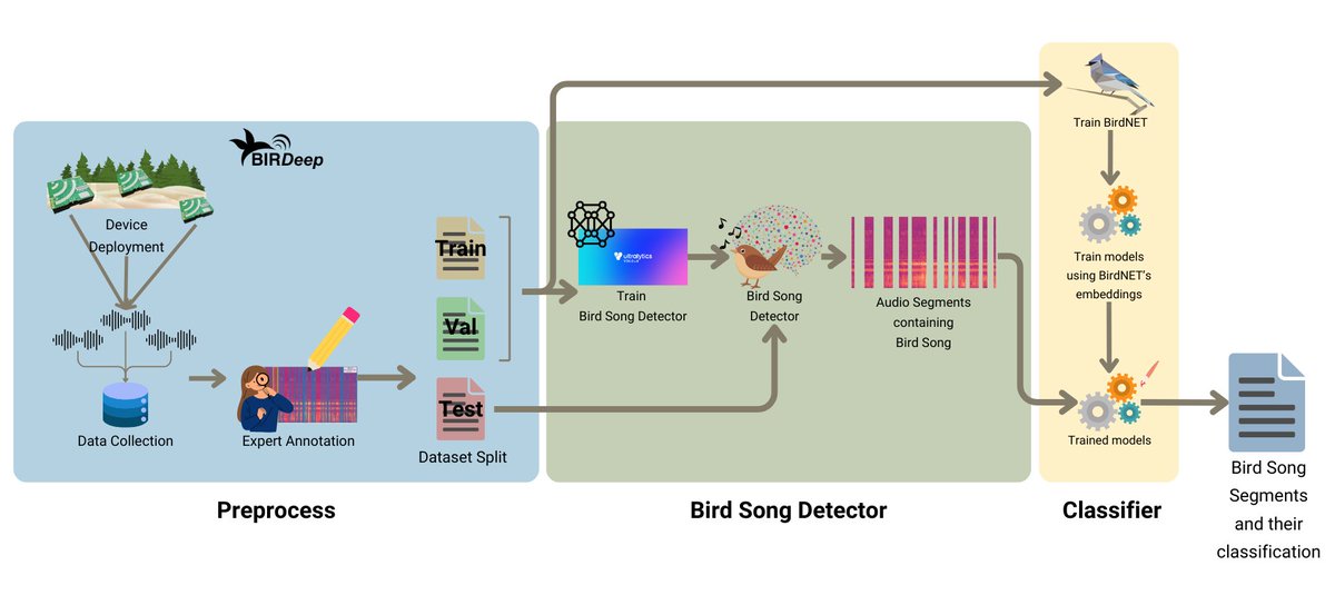 Our preprint "A Bird Song Detector for Improving Bird Identification through Deep Learning: A Case Study from Doñana" is now available! 🐦📢

🔗 arxiv.org/abs/2503.15576…

This work is result of my JAE Intro fellowship, where I contributed to the #BIRDeep project at <a href="/ebdonana/">Estación Biológica de Doñana - CSIC</a>