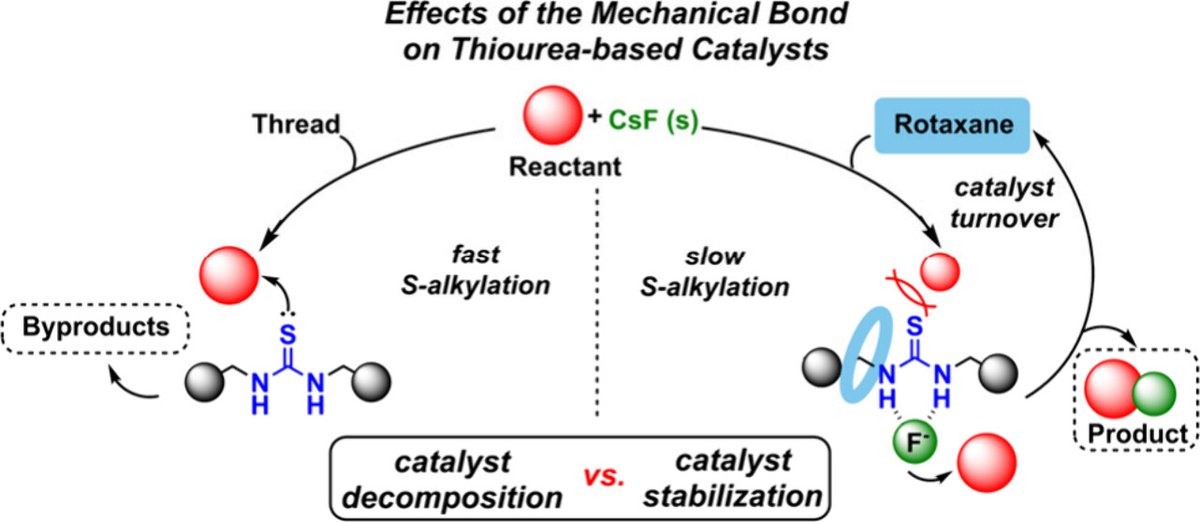 SOC-UMU Lab (@socumu_lab) on Twitter photo New #OrgLett paper!A thiourea-based rotaxane works as a PT catalyst for nucleophilic fluorination⚗️ Mechanical bonding unlocks reactivity beyond traditional catalysts.
With <a href="/PuigcerverJulio/">Julio Puigcerver Alarcón</a> JS Dato @alajarin <a href="/amcuezva/">Alberto Martínez-Cuezva</a> <a href="/jbernicano/">J Berna</a>
Thanks <a href="/JOC_OL/">J Org Chem/Org Lett</a> & <a href="/UMU/">Universidad Murcia</a>
👇
doi.org/10.1021/acs.or… New #OrgLett paper!A thiourea-based rotaxane works as a PT catalyst for nucleophilic fluorination⚗️ Mechanical bonding unlocks reactivity beyond traditional catalysts.
With <a href="/PuigcerverJulio/">Julio Puigcerver Alarcón</a> JS Dato @alajarin <a href="/amcuezva/">Alberto Martínez-Cuezva</a> <a href="/jbernicano/">J Berna</a>
Thanks <a href="/JOC_OL/">J Org Chem/Org Lett</a> & <a href="/UMU/">Universidad Murcia</a>
👇
doi.org/10.1021/acs.or…