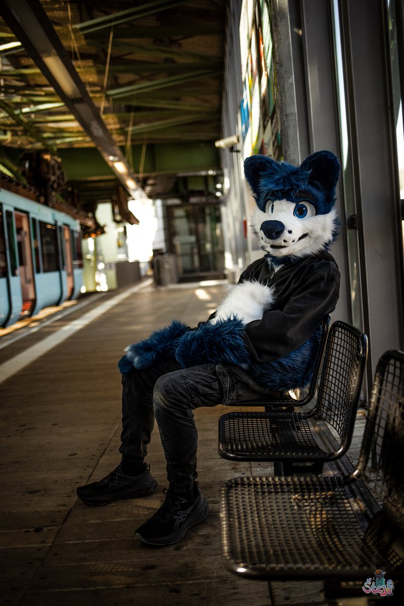 Some more pictures from last weekend in Düsseldorf. Featuring <a href="/SamyoFox/">SamyoFox</a> , Cole as Legoshi and Ivar as Kujira.

#fursuitfiday 
#furry 
#fursuits 
#fursuiter