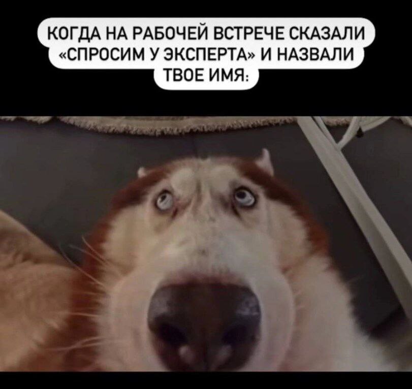 Nickro666's tweet photo. https://t.co/DobHDVlbYo
