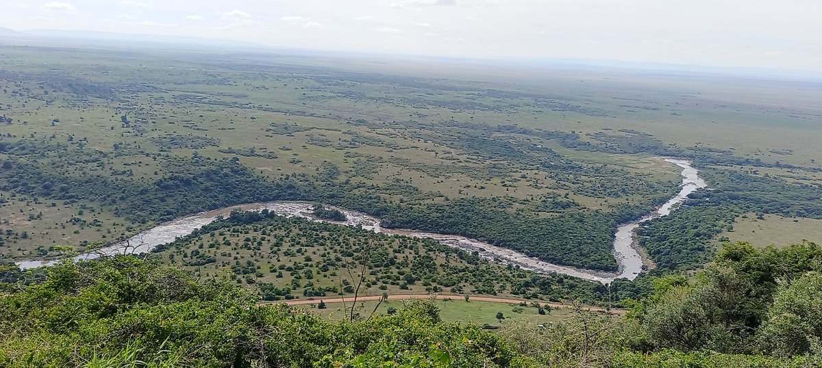 NyamuJim's tweet photo. Mara River nicknamed 'the river of death', the Mara River is known for its infamous role in The Great Migration. #MaraRiver @jslayerjustin @KWSKenya https://t.co/1wdal7vOwe