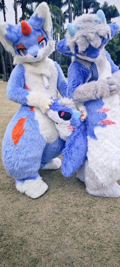 #FursuitFriday 今日份毛五  尾巴不是这样用的！