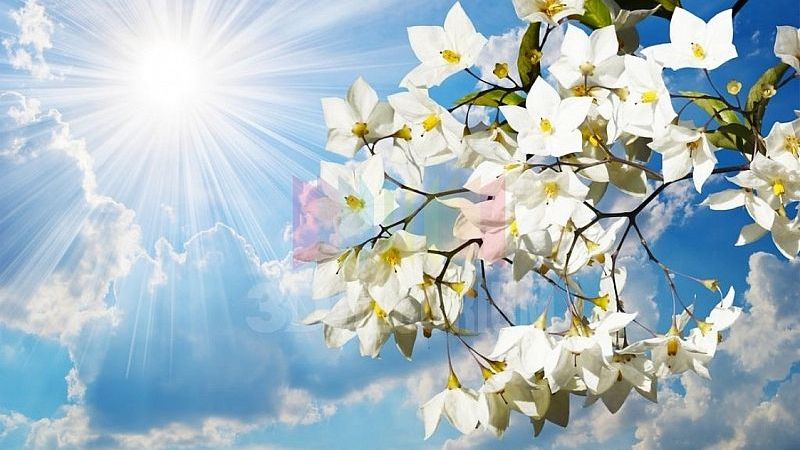 Asya'dan Mezopotamya'ya, Anadolu'dan Balkanlara doğanın uyanışını, baharın gelişini ve yenilenmeyi temsil eden çok dilli ve çok kültürlü bir sahiplenişle  kutlanan Nevruz/Nowruz/Newroz kutlu olsun.

Newroze peru şare dîna xer û bimbarek bo!
Newroz pîroz be!
Nevruz kutlu olsun!