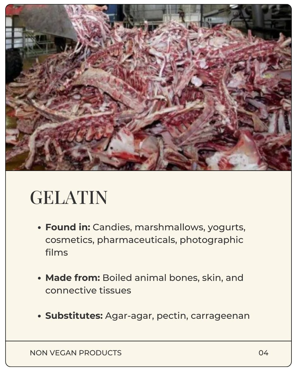 Non Vegan Products You Didn't Know You Were Buying

#Vegan #VeganLife #AnimalCruelty #AnimalAbusers #AnimalLovers #consumers #Sustainability #cruelty #environment