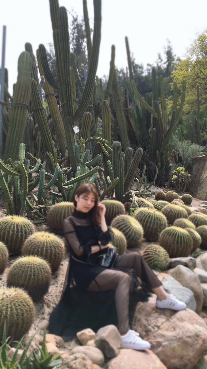 幸福就是你 (@gzfqjh) on Twitter photo 