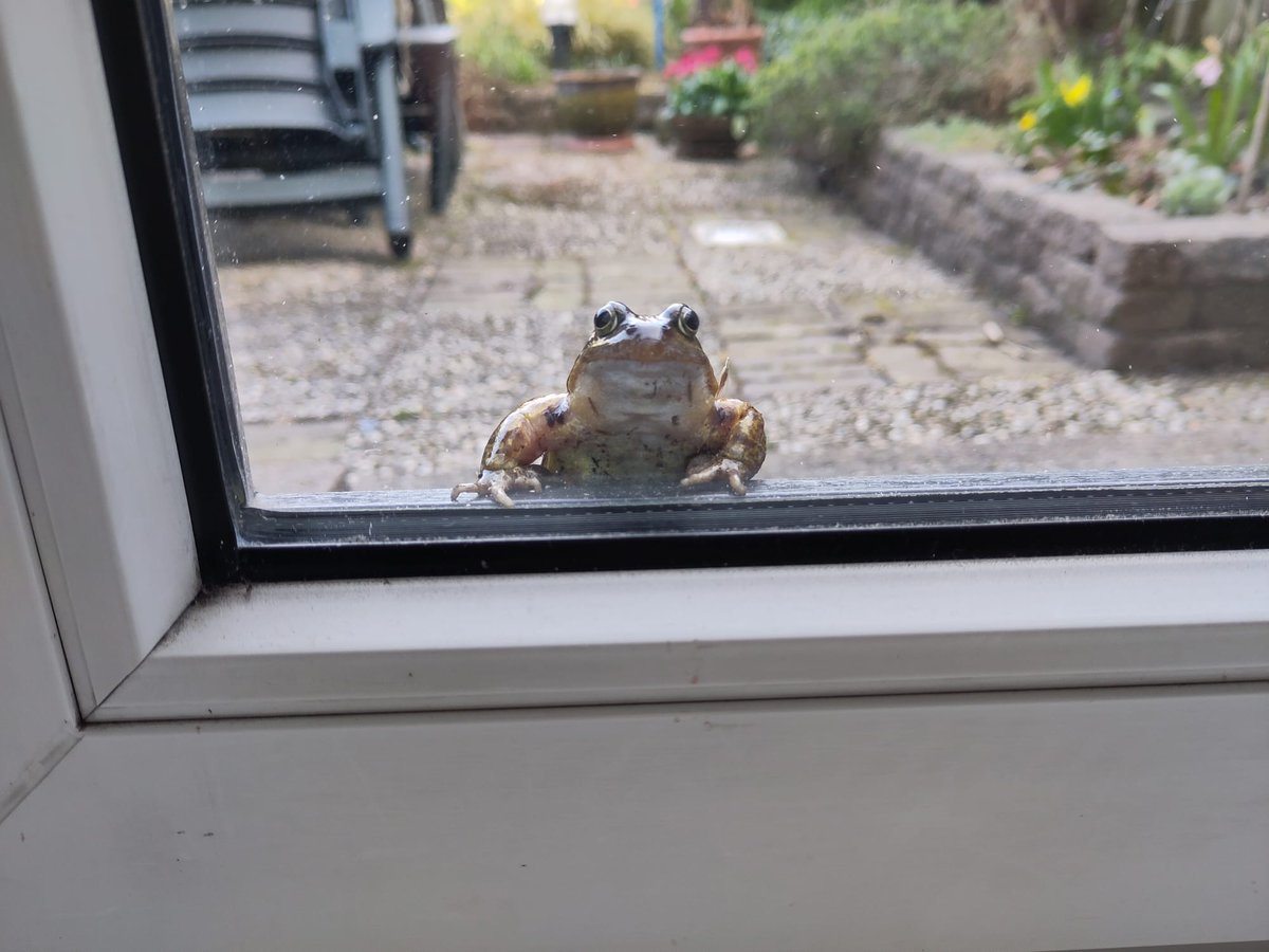 Good morning to all.

❤️