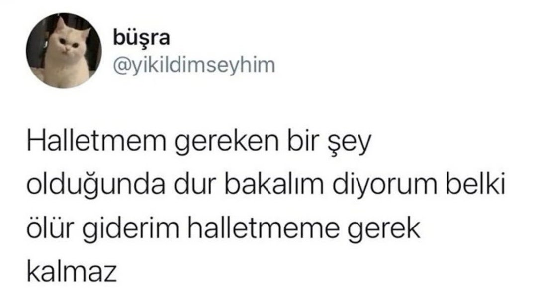 b ü ş R a (@gciwciwing) on Twitter photo 