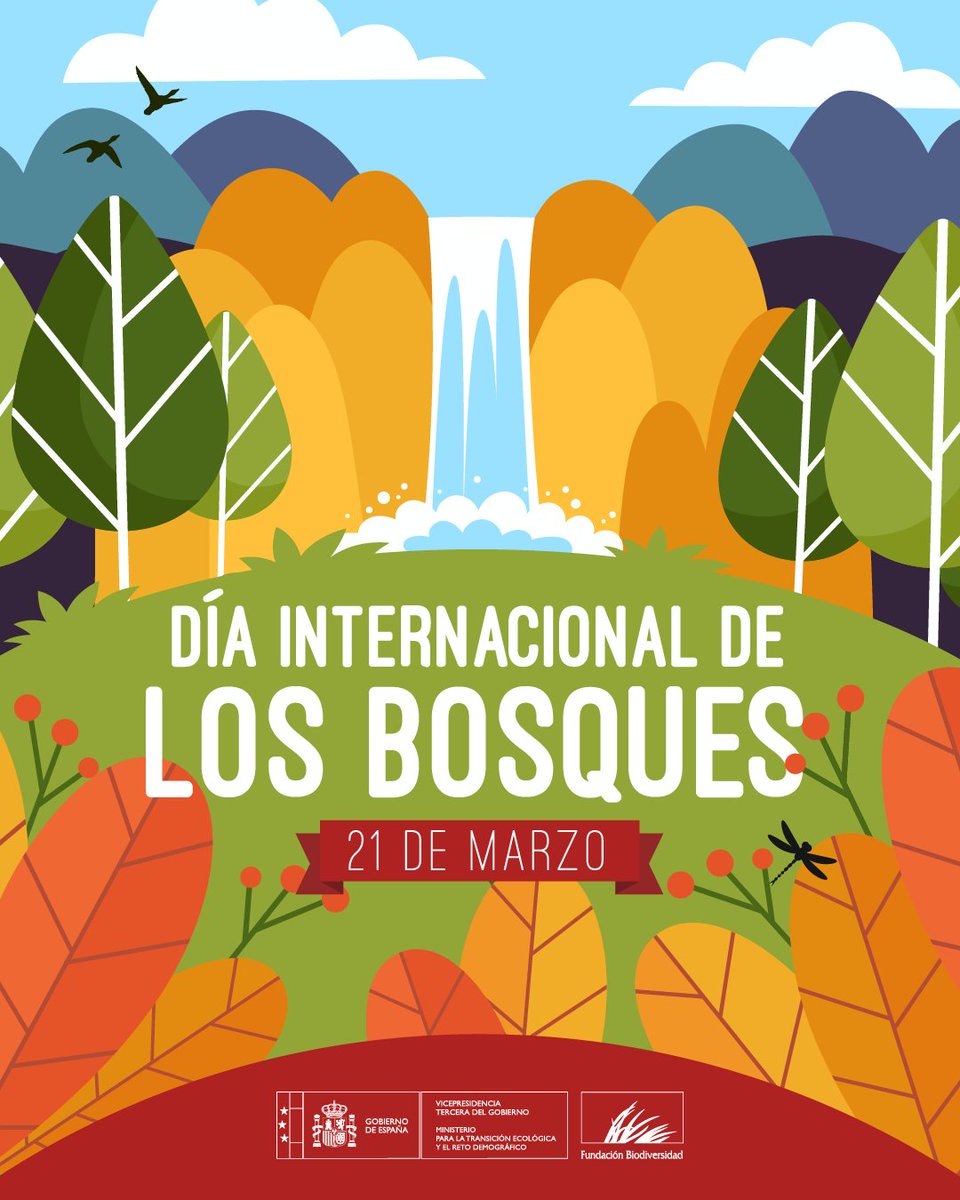 Los #bosques son claves para la vida en el planeta:

🦌 Refugio del 80% de la #biodiversidad terrestre
💨 Capturan CO₂ y liberan oxígeno
🪵 Son medio de subsistencia para el 25% de la población mundial

#DíaInternacionalDeLosBosques #DíaDeLosBosques