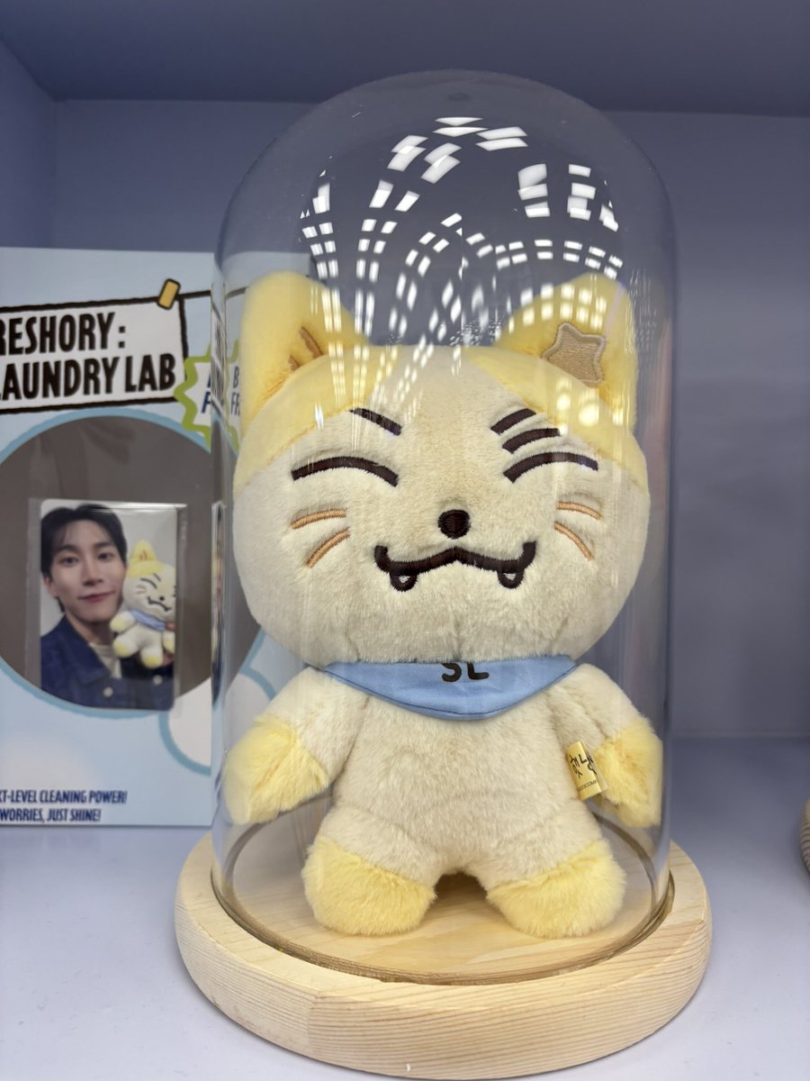 c_mxbt0's tweet photo. #비투비 #BTOB #삐프렌즈 #BBE_FRIENDS #FRESHORY_LAUNDRY_LAB https://t.co/LB8dYxmFIU