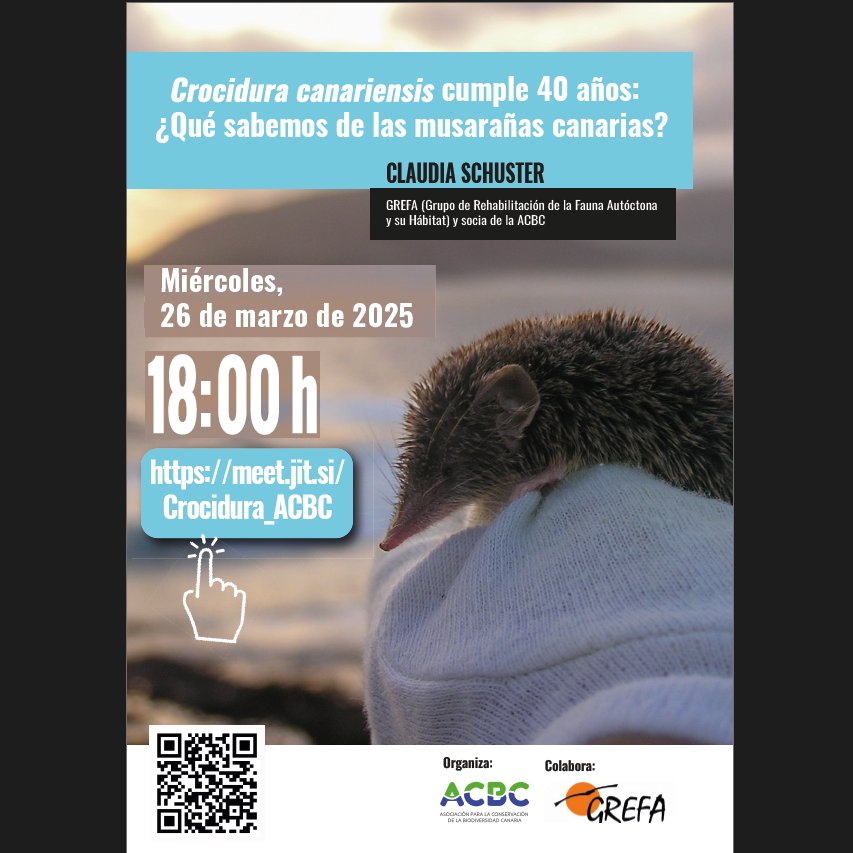 Charla divulgativa sobre la musaraña canaria impartida por Claudia Schuster, coordinadora del proyecto #SEMICE en las Islas Canarias, miembro de <a href="/GREFA_Fauna/">GREFA</a> y socia de la Asociación para la Conservación de la Biodiversidad Canaria #ACBC
👇👇👇
