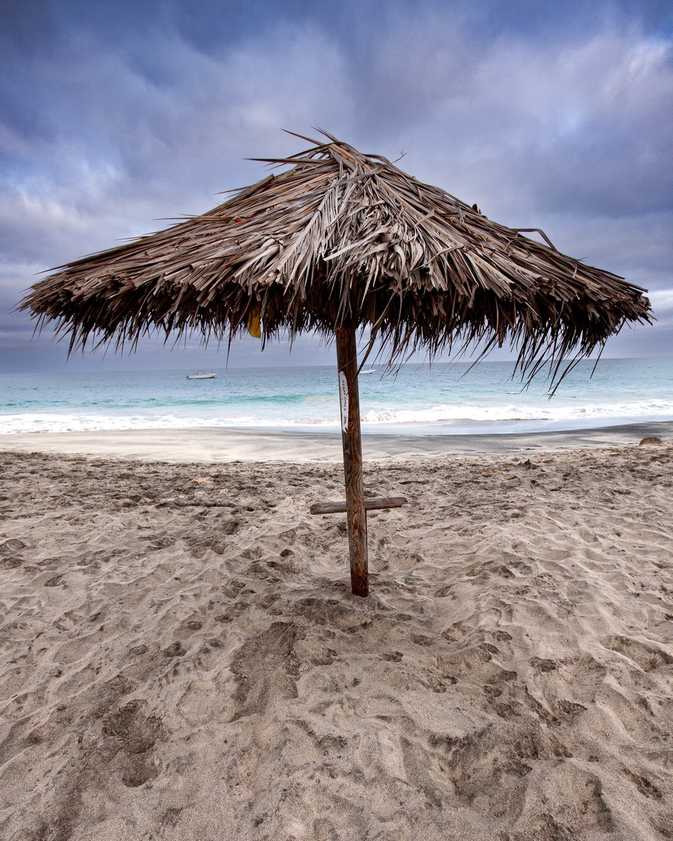 Cederfjärd tweet media