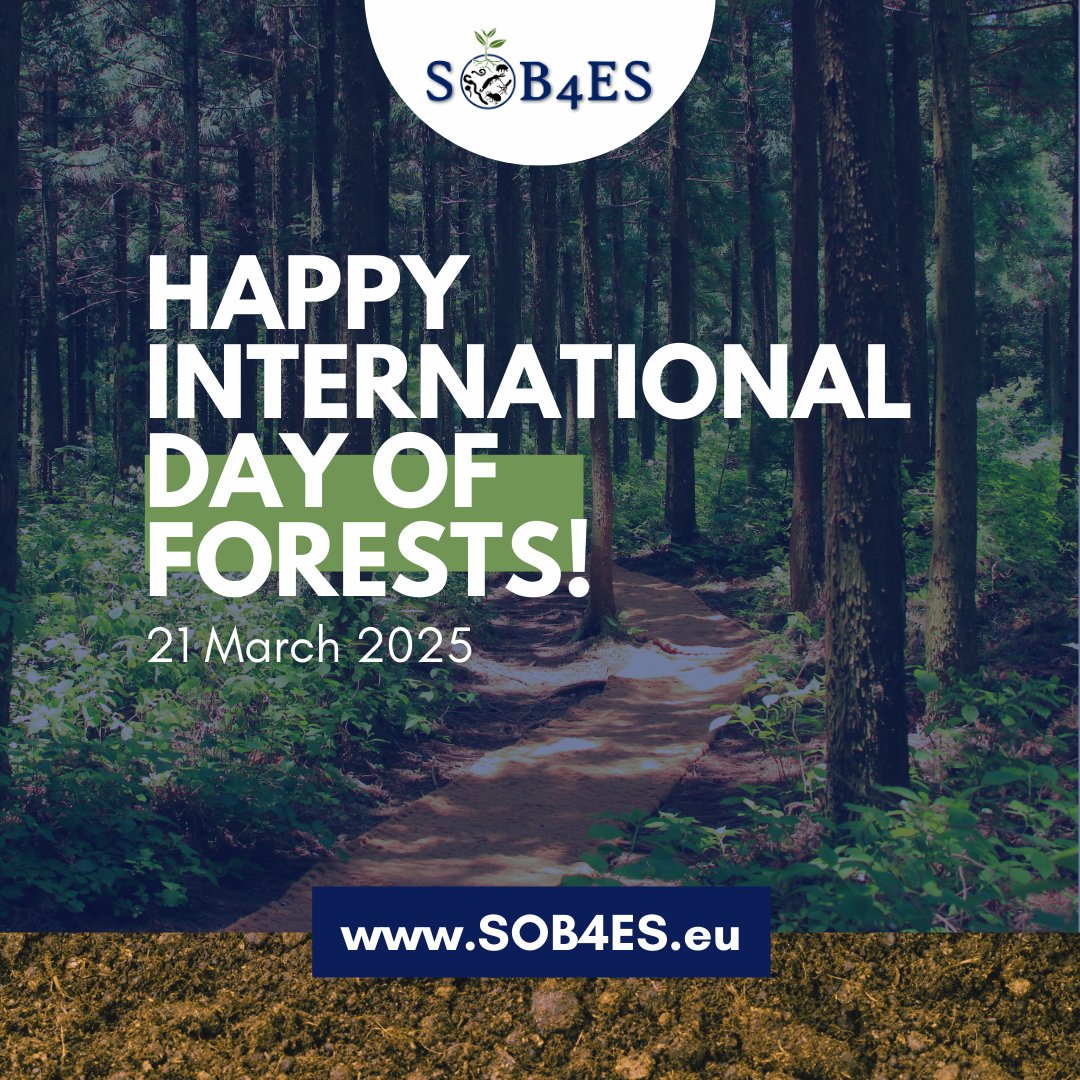 🌳 Happy International Day of Forests from the #SOB4ES team! ✨

Healthy soils keep forests thriving. By supporting soil health, we help mitigate climate change, sustain ecosystems, and preserve the beauty of our forests.

#SoilBiodiversity #ForestHealth