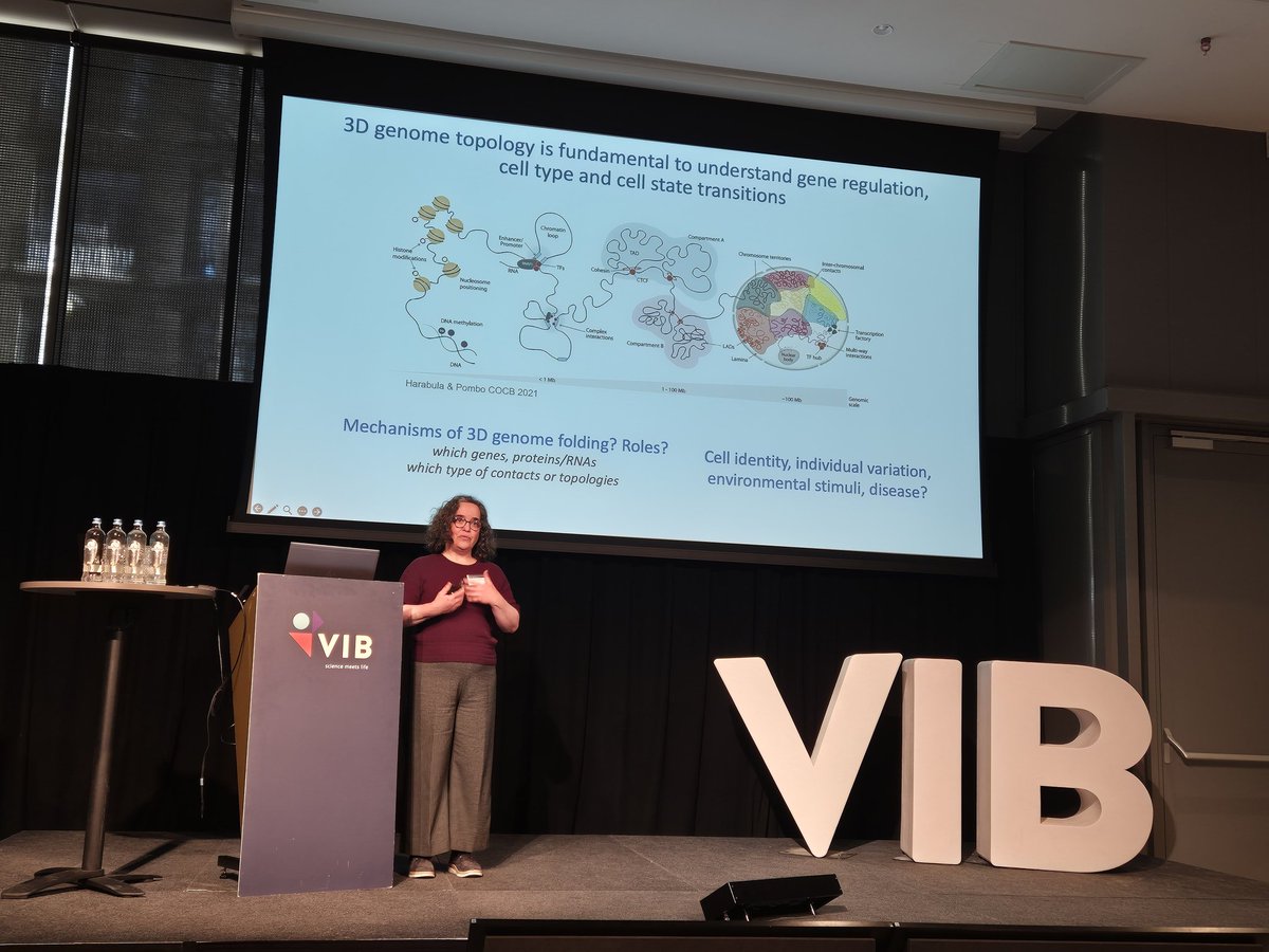 🧬🧬The genome isn't flat-why should our understanding be?
At #RNGS25, Ana Pombo <a href="/apombo1/">Prof Ana Pombo</a>  highlighted how 3D chromosome structure shapes gene regulation and cell function.
