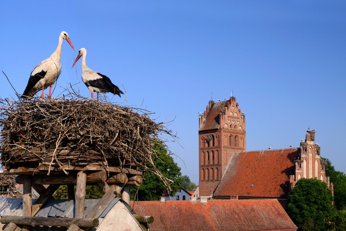 mazury.travel (@mazuryt) on Twitter photo WIOSNAAAAAAAAAA 😁🦋🌱🌷🐦☀️ WIOSNAAAAAAAAAA 😁🦋🌱🌷🐦☀️