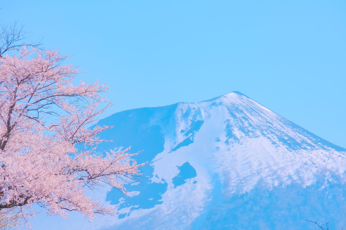 春はもうすぐ。