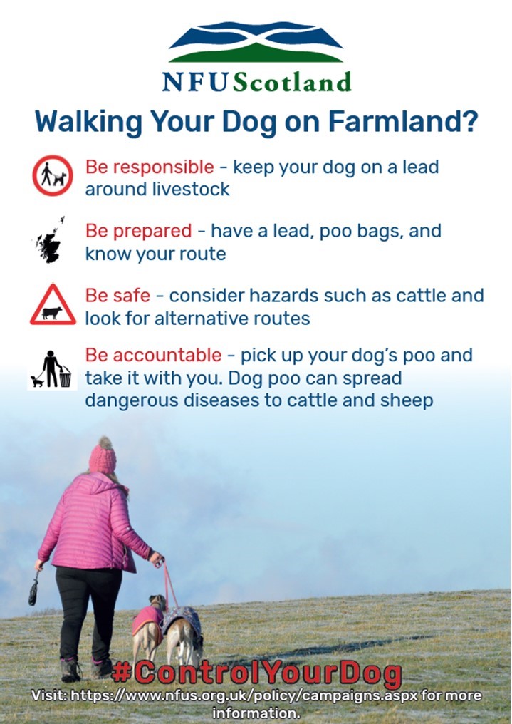 PSOSWestLothian's tweet photo. 🐑 Lambing season is underway
Keep control of your dog🦮 at all times and don’t allow it to venture into fields unattended
Failure can lead to a fine of £40,000, disqualification from owning a dog, or a 12 month custodial sentence. 
#ControlYourDog #SBPARC #NFUSLothiansBorders https://t.co/8q1sO0t37F