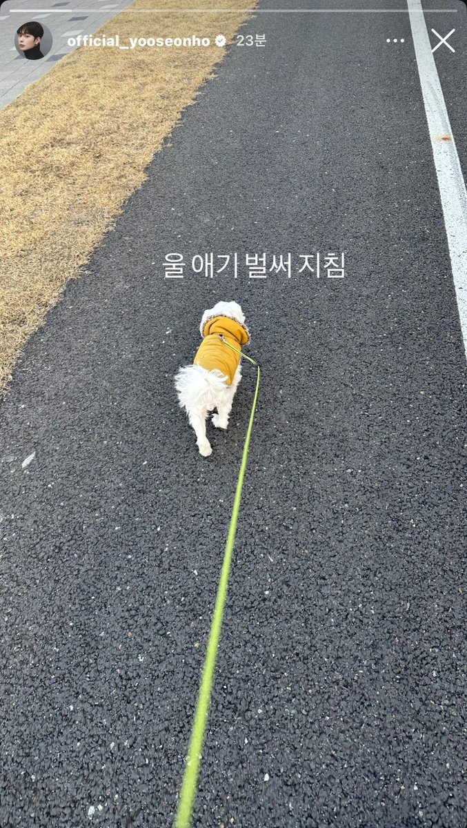 250321 #유선호 인스타그램 스토리

울 애기 벌써 지침