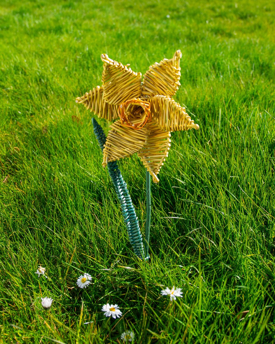 Happy Mother’s Day 🌼

#MothersDay2025 #WillowDaffodil