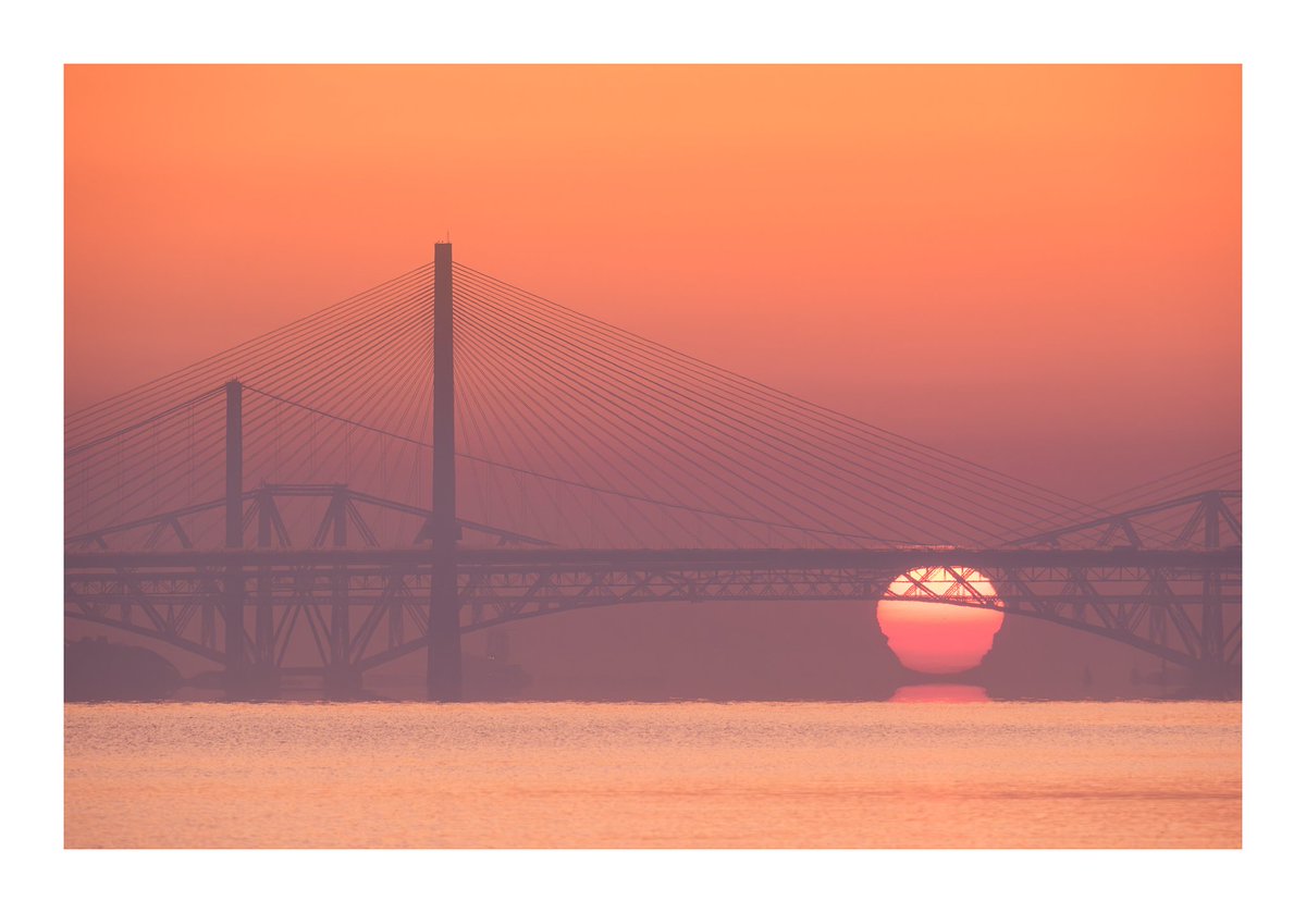 David Queenan tweet media