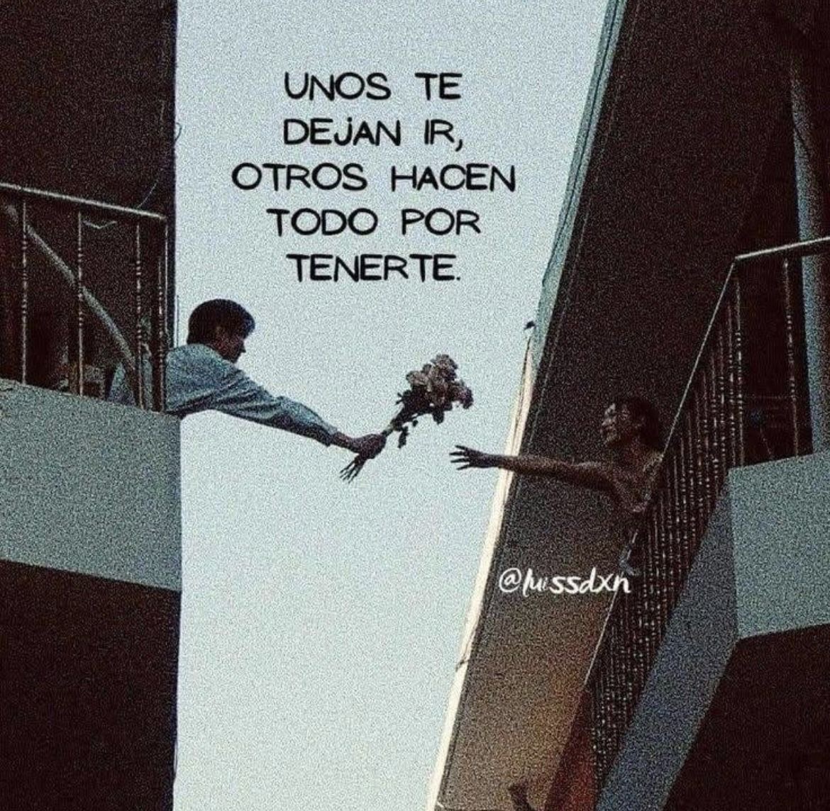 Cultura Literal (@culturaliteral1) on Twitter photo 