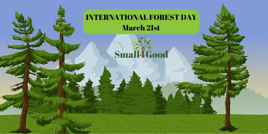 🌳 Today’s International Forest Day!

 🌍 Small4Good is committed to promoting forest management as a cornerstone for climate change mitigation and adaptation.

👉 Check our website and stay connected! small4good.eu

🌲#Small4Good
#ForestManagement #EUForestStrategy
