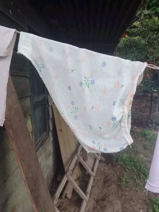 palm beach (@arorasalini) on Twitter photo 