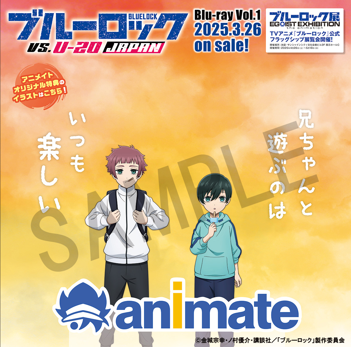 ブルーロック Blu-ray U-20 2 アニメイト限定特典 凛 冴 ブルーロック