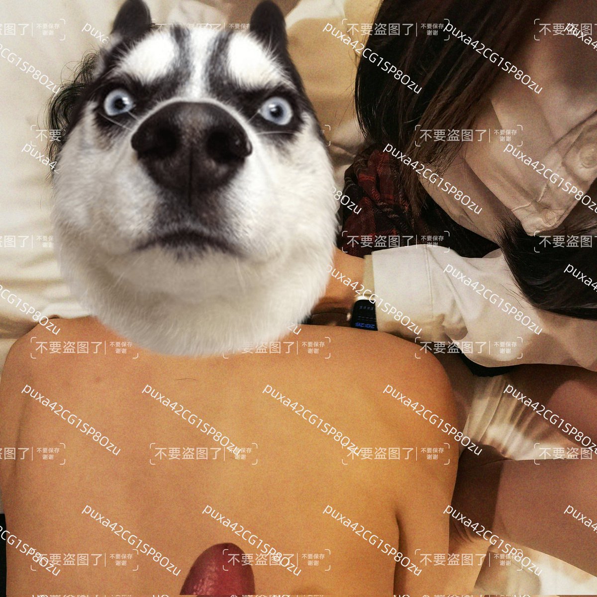 广州随缘情侣S夫妻主 tweet media