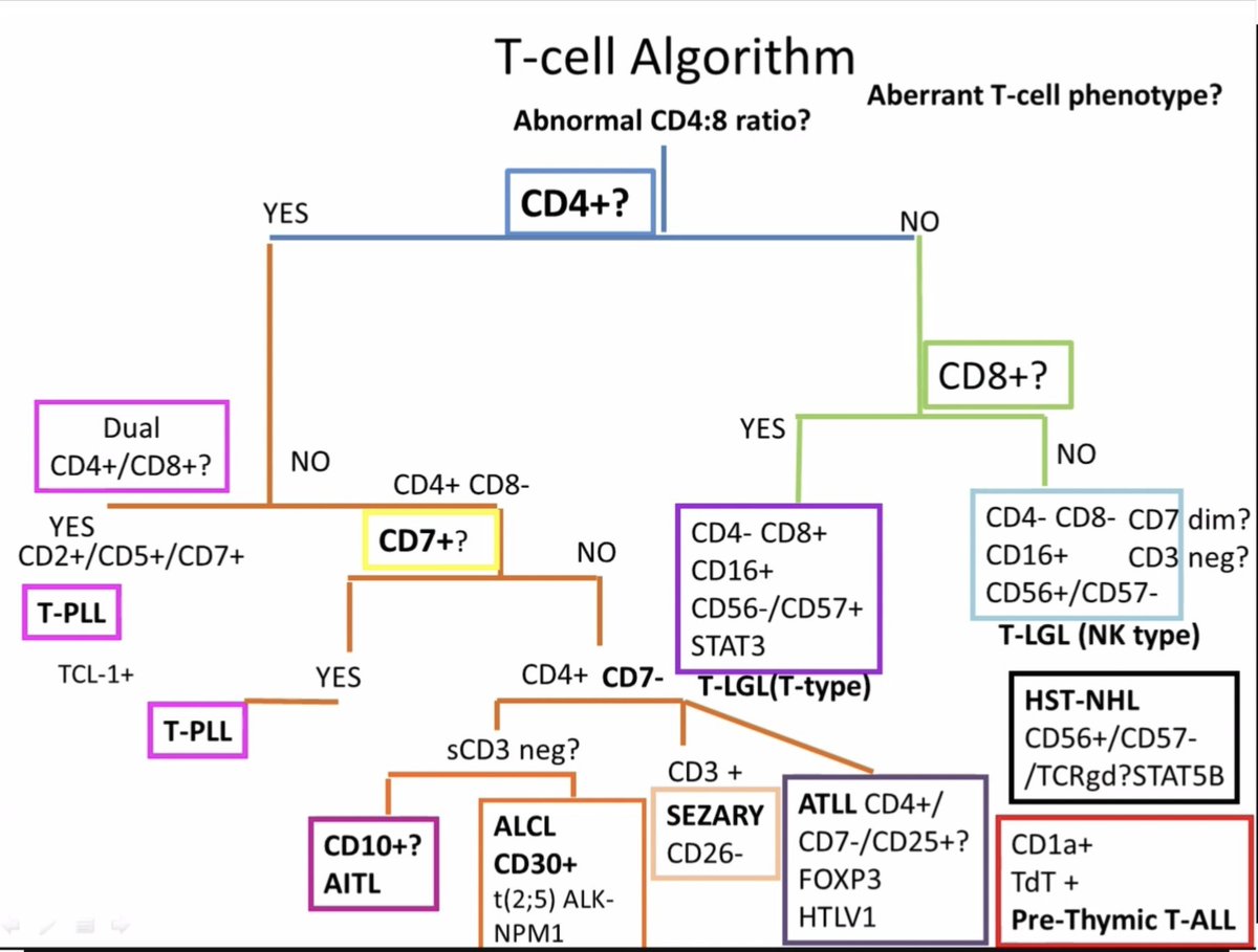 T Cell LPDs
Hopefully this chart will make your life Easier😀
#hematology #meded #medtwitter #medicine #blooducation