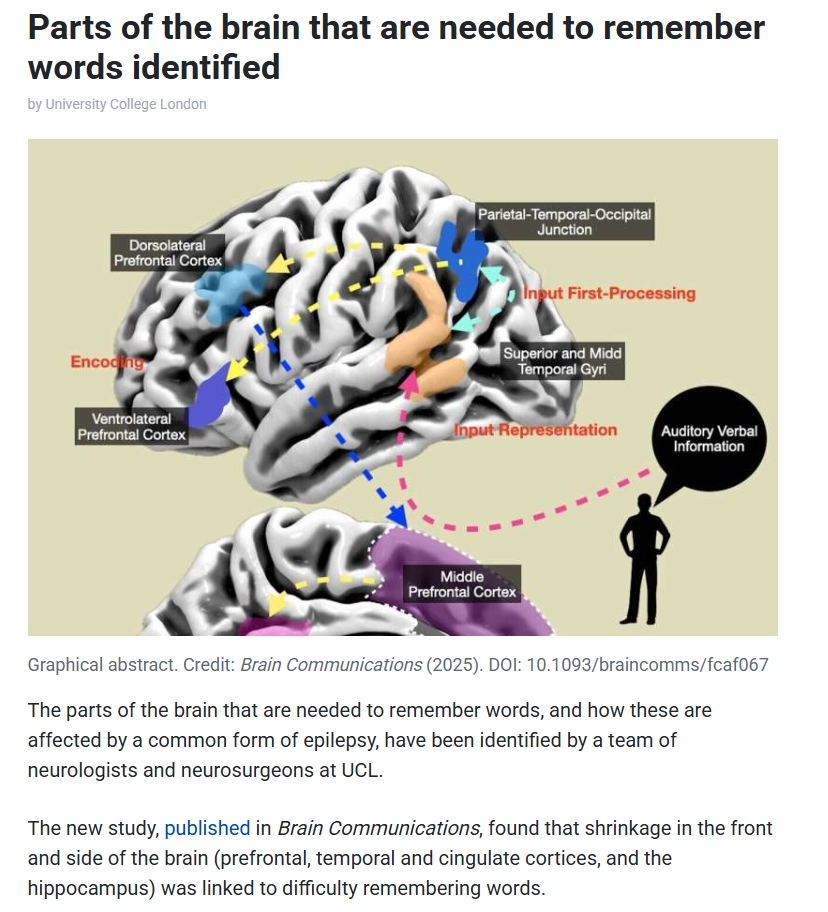 AIpubmed's tweet photo. 🔬Insights into Parts of the brain that are needed to remember words identified🔬
Get related literature list by https://t.co/tNE7MEPVXU : https://t.co/3l4hMrRmbA
#MemoryProcesses #Hippocampus #PrefrontalCortex #Amygdala #CognitiveNeuroscience #BrainFunction #Neurobiology #pubmed https://t.co/BYDjeFleIO