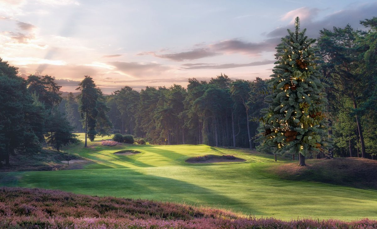 St George's Hill Golf Club tweet media