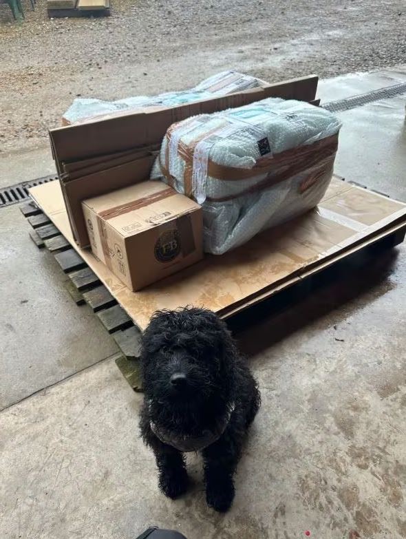 Meet Poppy! Poppy lent a helping hand to pack this pallet for a customer.

We can ship worldwide.

Mon - Fri: 9am - 5.30pm                                
Sat: Closed     
Tel: 01543 222923                                                  
Email: info@ukaa.com