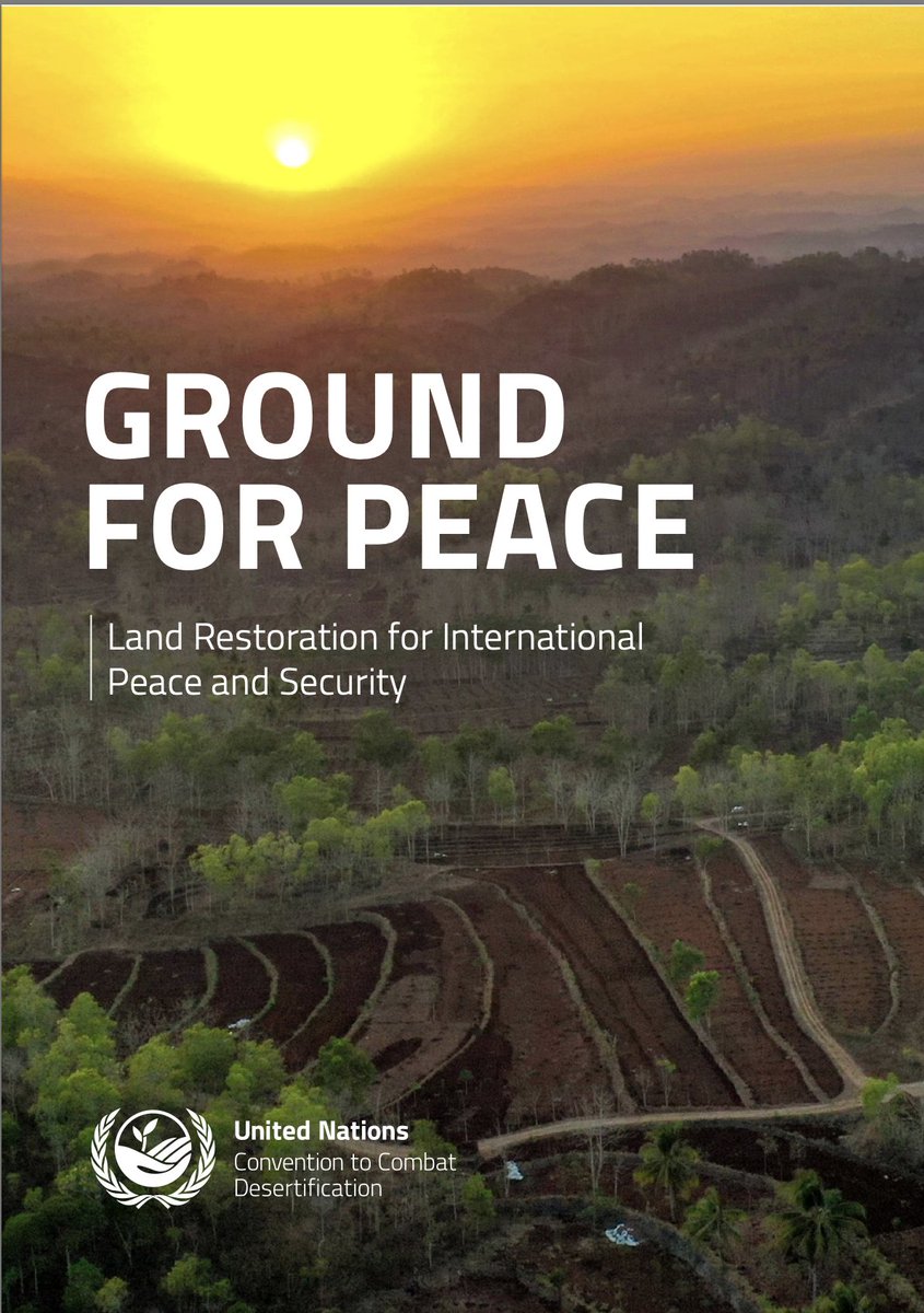 On this #InternationalDayOfForests learn how forests can become a bridge to peace and cross-border cooperation 🌳 Through our Peace Forest Initiative, we support nations in turning shared landscapes into shared opportunities 🙌

Discover more: bit.ly/PeaceForestIni…
#UNited4Land